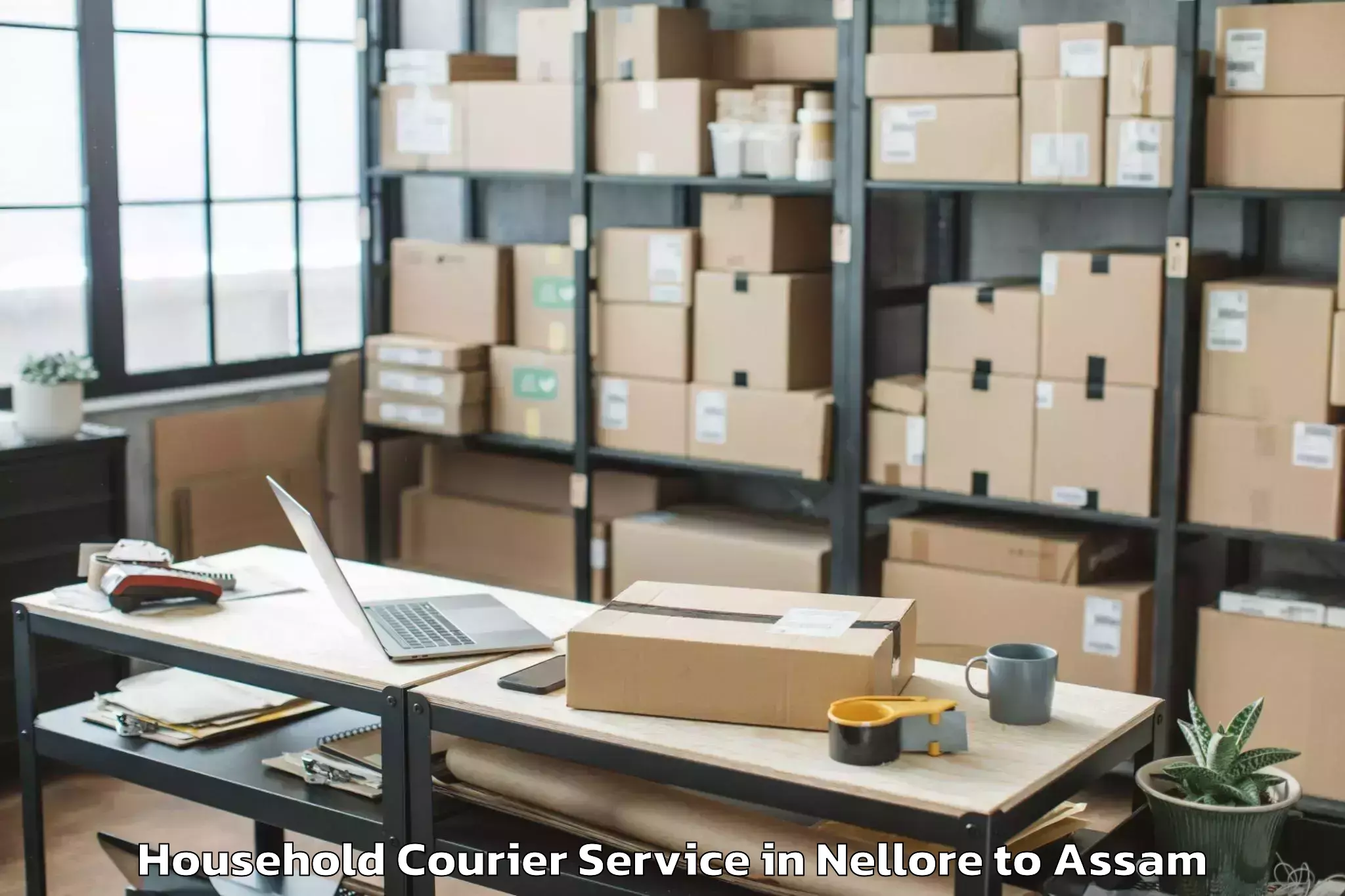 Quality Nellore to Baganpara Pt Household Courier